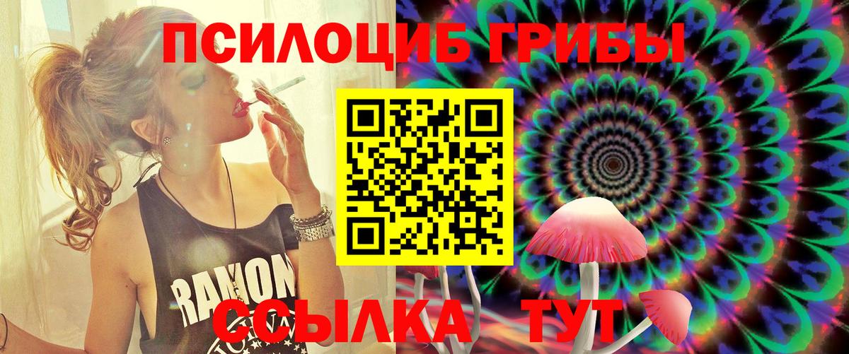 где можно купить   Вход с VPN  Нижний Тагил  Галлюциногенные грибы мухоморы 